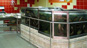 Эксперт: В супермаркетах лучше не покупать живую рыбу