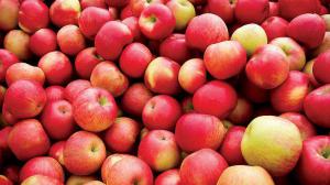 Врач: Свежесть и витаминную ценность яблок можно определить по запаху