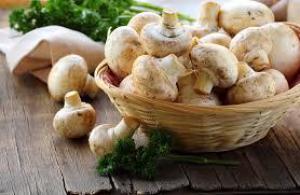 Эти популярные грибы являются средством защиты от смертельной болезни
