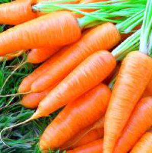 Применение в народной медицине моркови