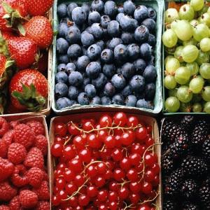 От жирной еды спасут ягоды