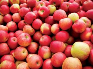 Свежие яблоки помогут организму согреться в холода — врач