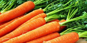 Диетологи объяснили, в чем польза оранжевых овощей и фруктов