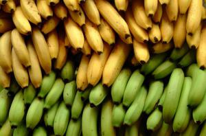Кому не можна їсти бананів: поради дієтолога