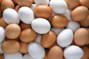 Диетологи раскрыли интересные факты о куриных яйцах