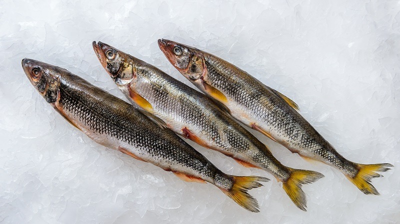 Производители со всей России привезут на “Рыбную неделю” лучшие продукты по сниженным ценам